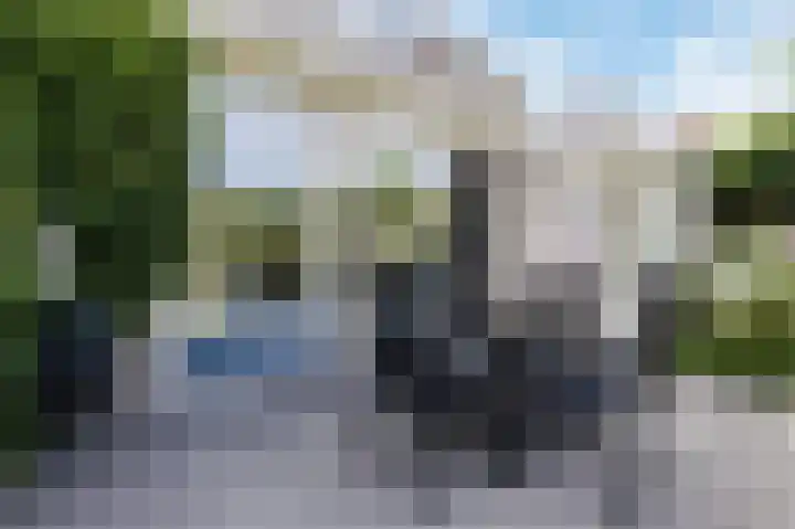 Boschweg 40 Akersloot thumbnail 30