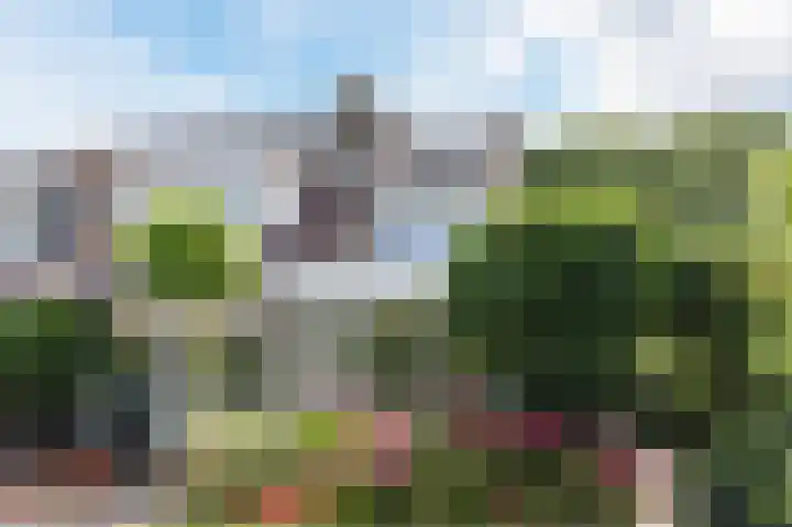 Boschweg 40 Akersloot thumbnail 31
