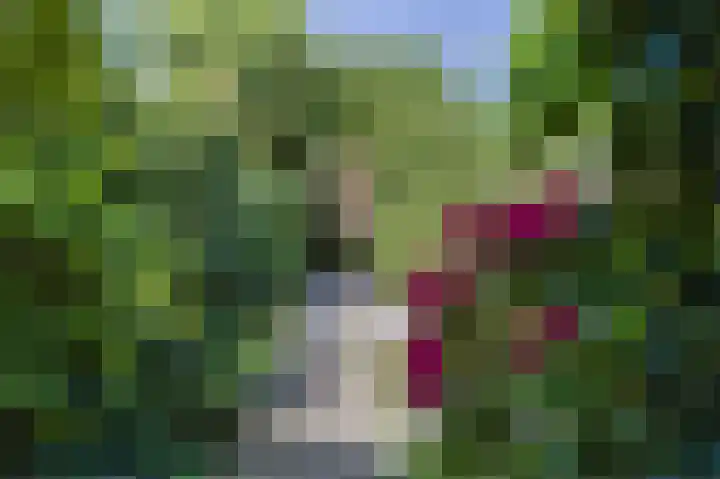 Boschweg 40 Akersloot thumbnail 34