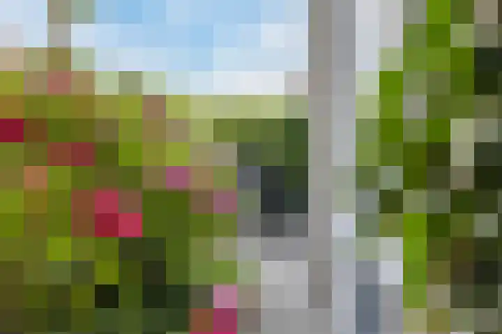 Boschweg 40 Akersloot thumbnail 35