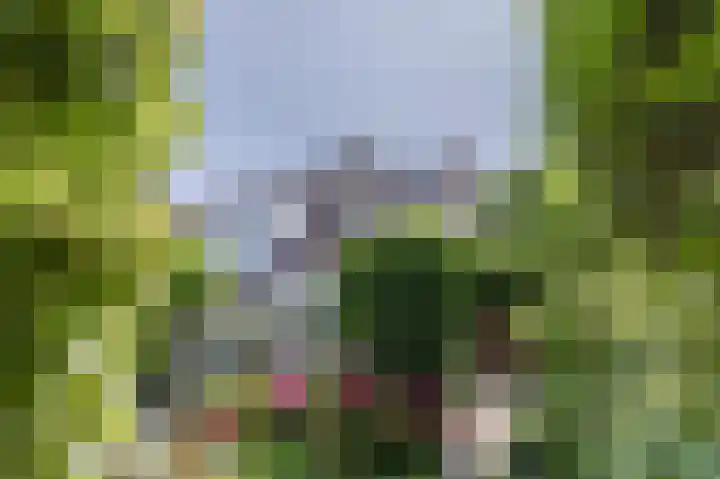Boschweg 40 Akersloot thumbnail 36