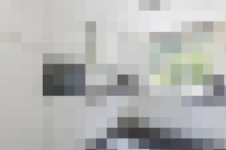Boschweg 40 Akersloot thumbnail 4