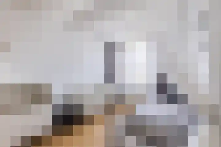 Boschweg 40 Akersloot thumbnail 41