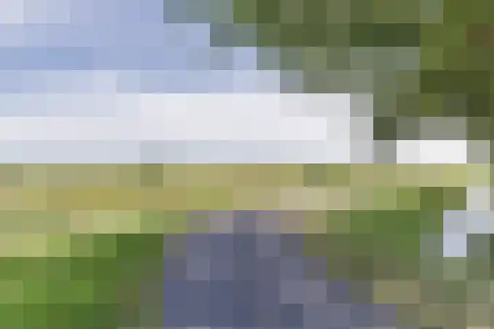 Boschweg 40 Akersloot thumbnail 49