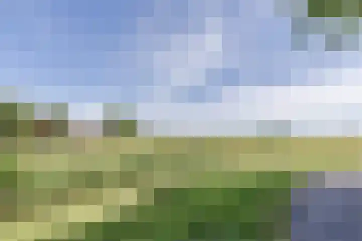 Boschweg 40 Akersloot thumbnail 50