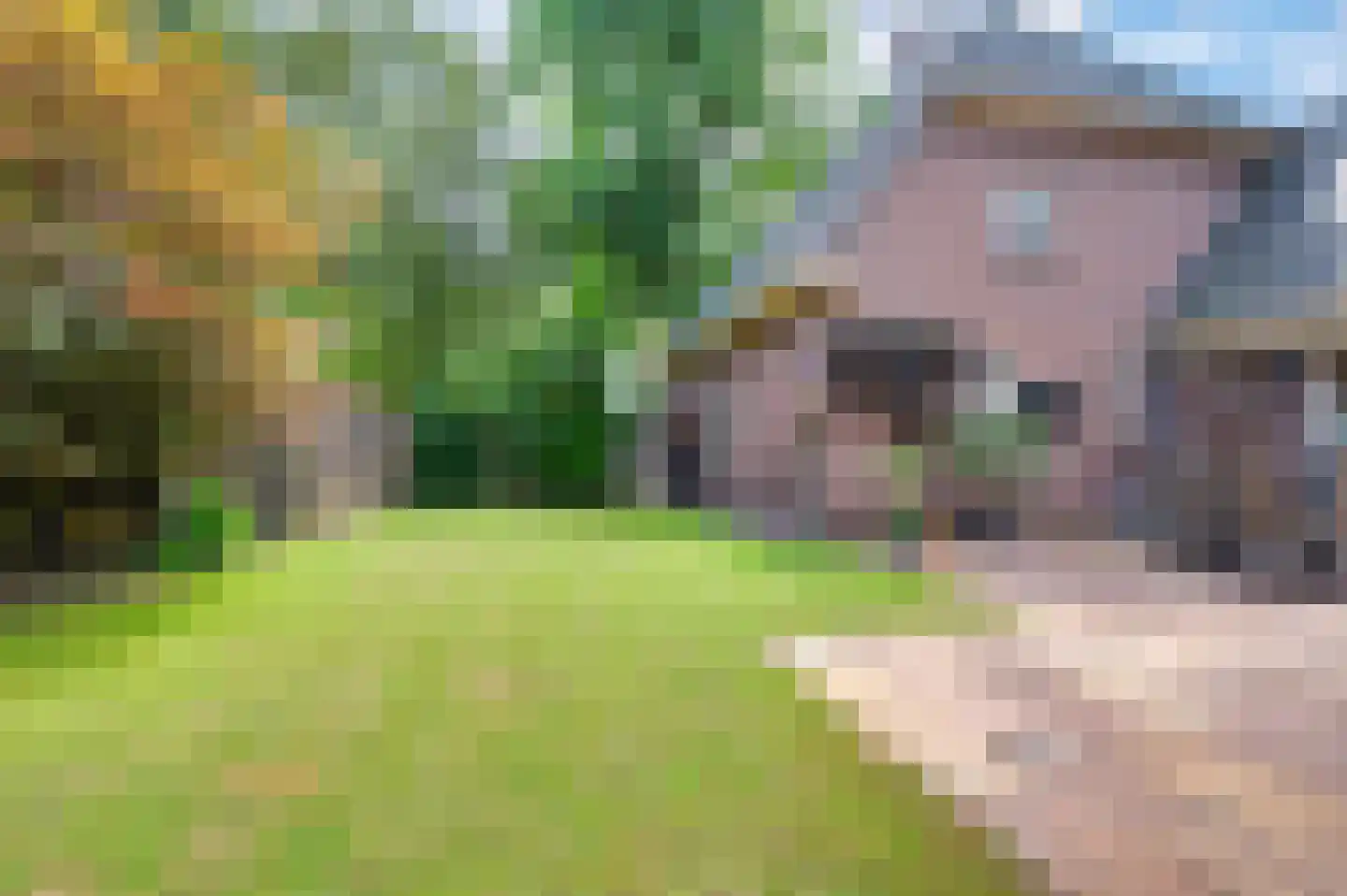 Boschweg 41 A Schijndel thumbnail 5