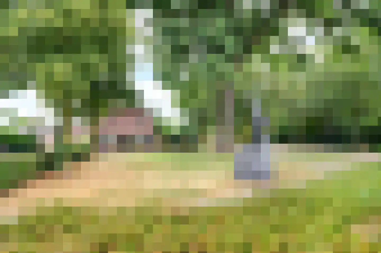 Boschweg 41 A Schijndel thumbnail 66