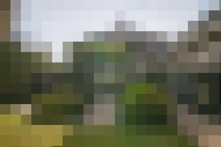 Boschweg 53 Schijndel thumbnail 43