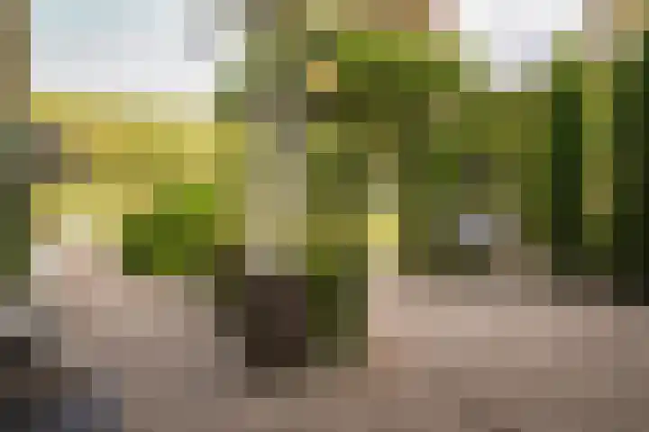 Boschweg 53 Schijndel thumbnail 46