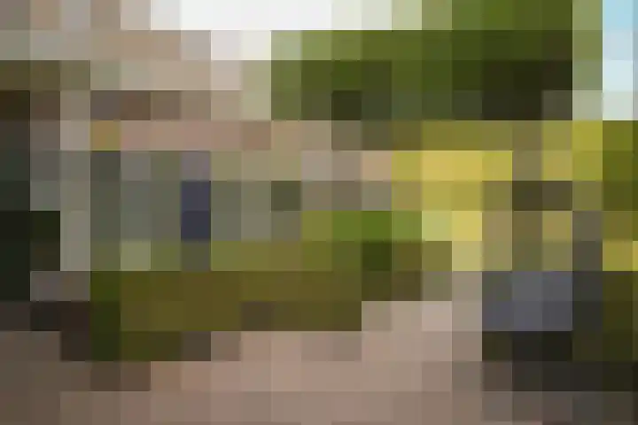 Boschweg 53 Schijndel thumbnail 48