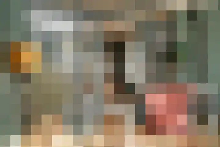 Boschweg 53 Schijndel thumbnail 8