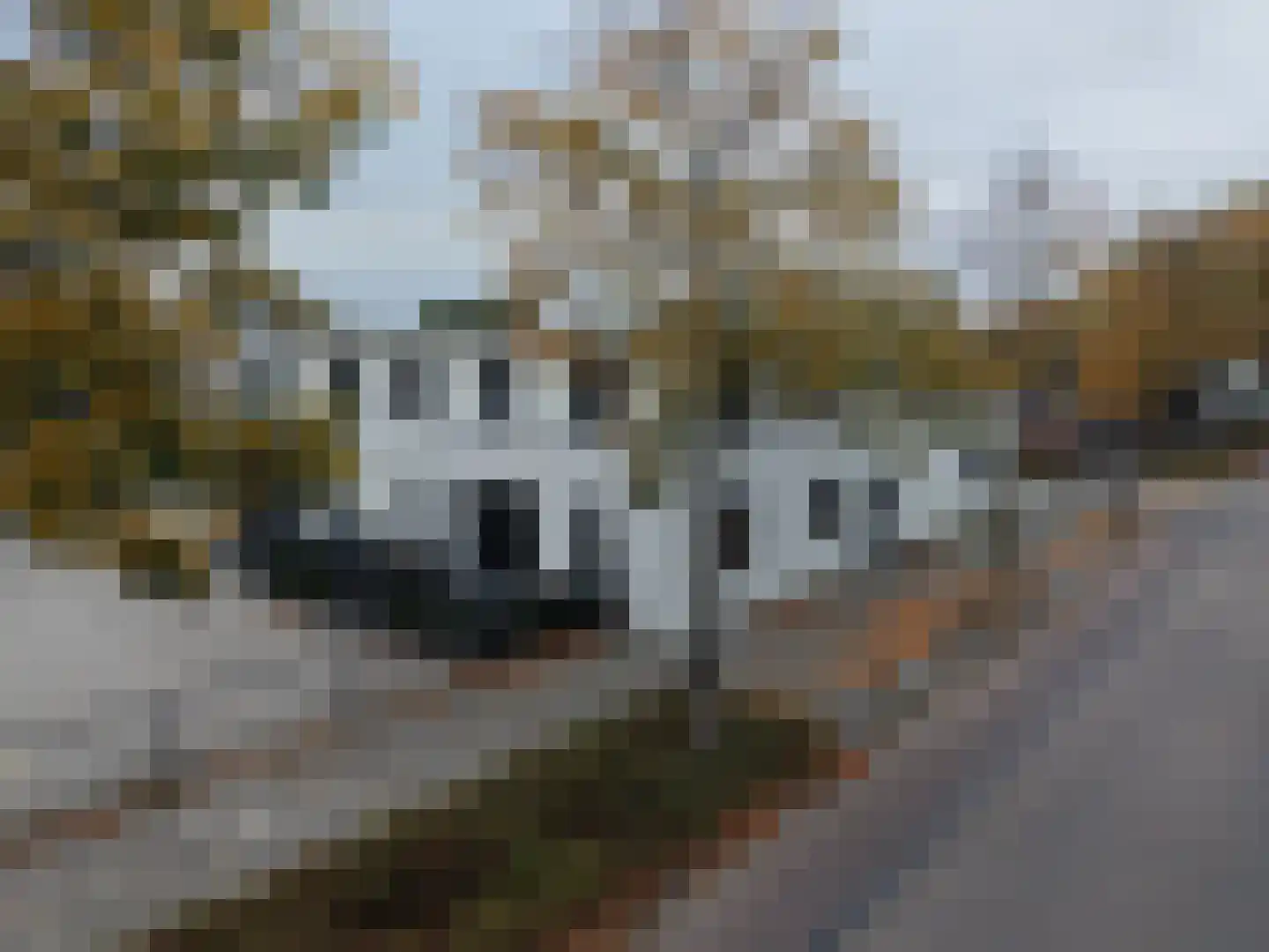 Boschweg 64 07 Schijndel thumbnail 5