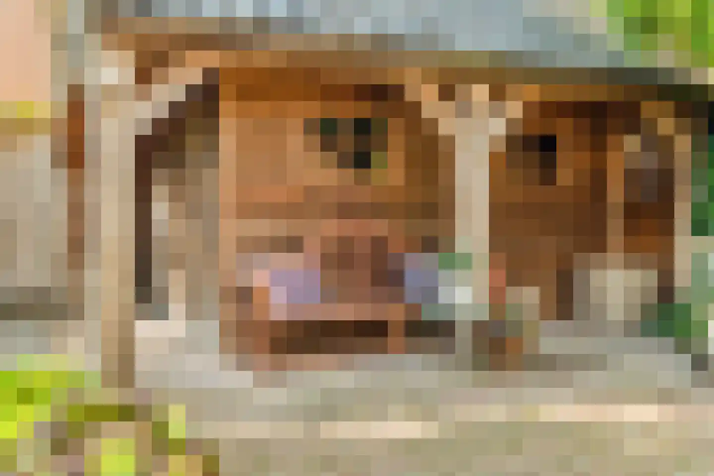 Boschweg 74 Akersloot thumbnail 34