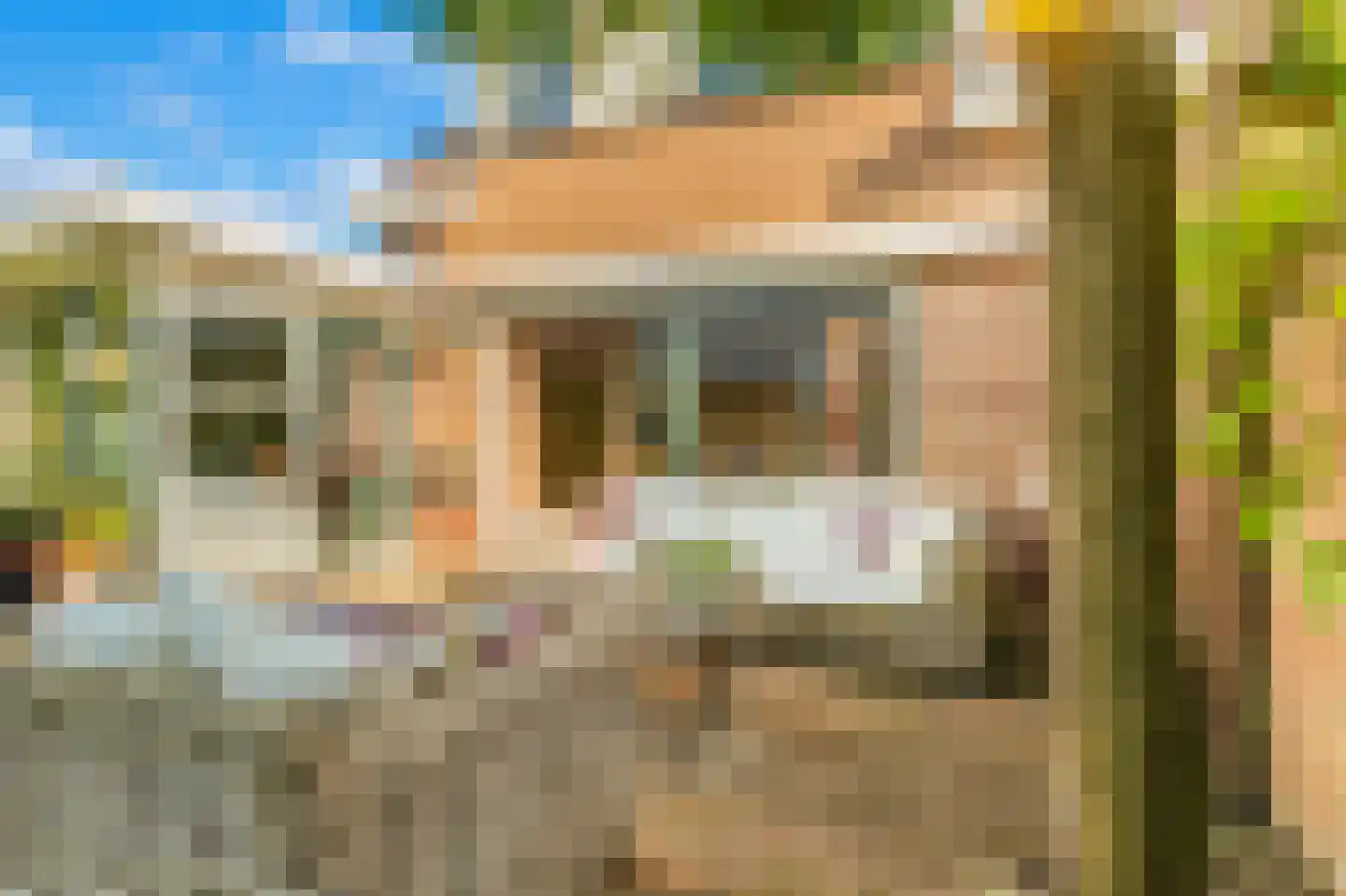 Boschweg 74 Akersloot thumbnail 35