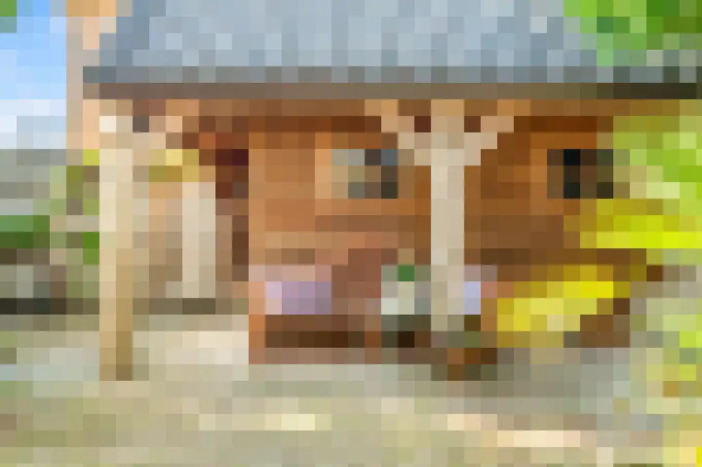Boschweg 74 Akersloot thumbnail 40