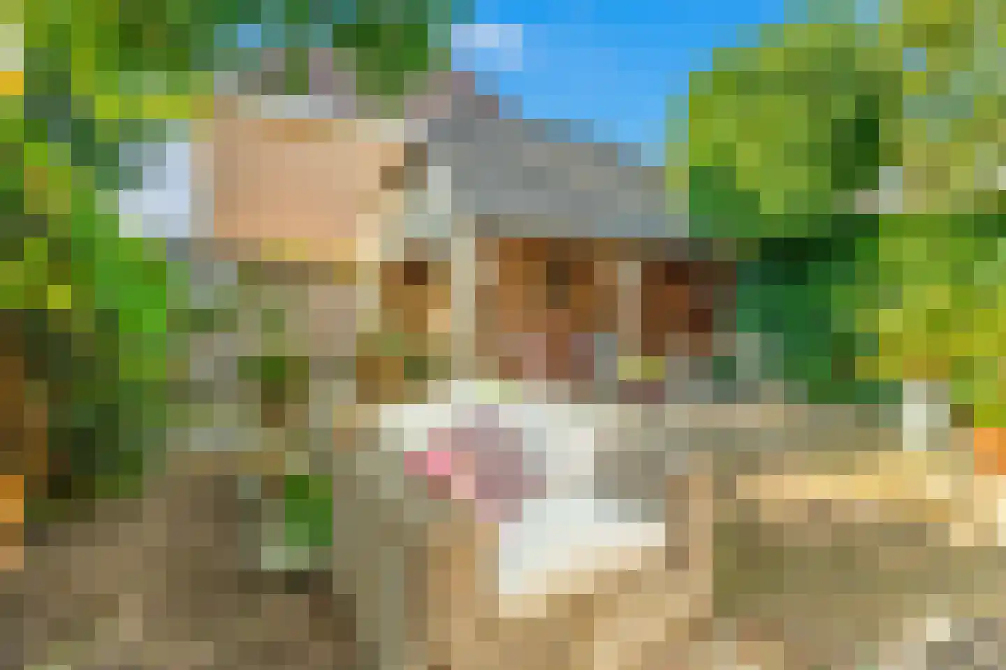 Boschweg 74 Akersloot thumbnail 41