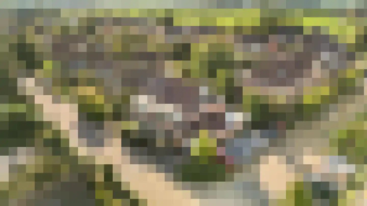 Boschweg 74 Akersloot thumbnail 44