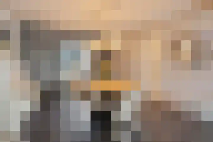 Boschweg 84 Schijndel thumbnail 11