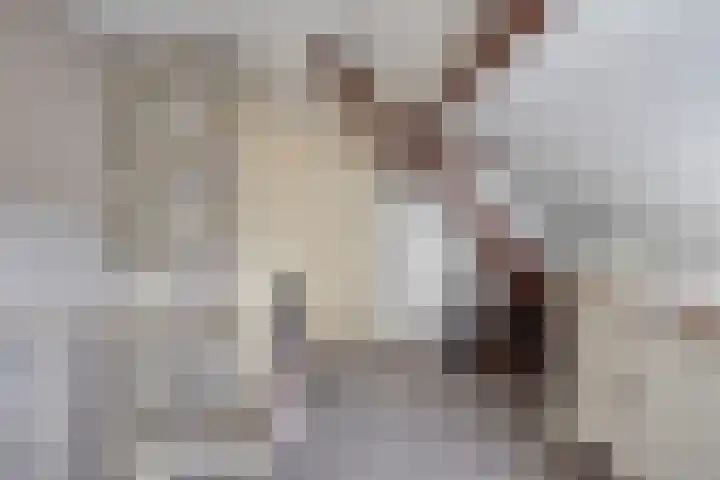 Boschweg 84 Schijndel thumbnail 23