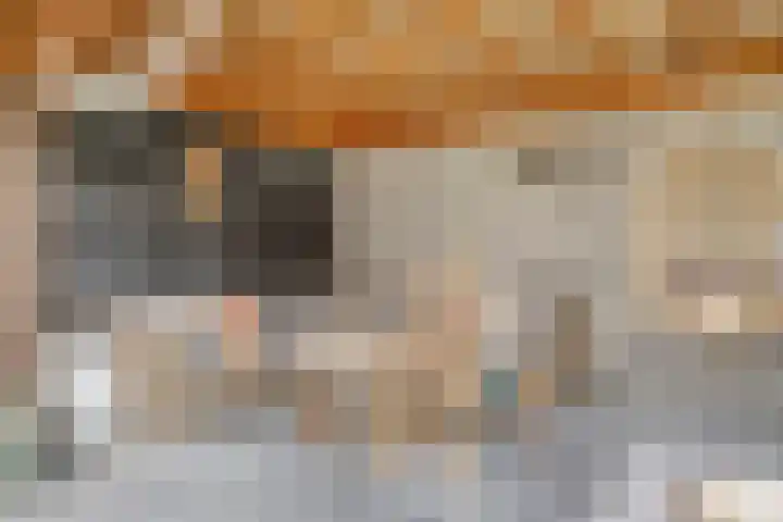 Boschweg 84 Schijndel thumbnail 32