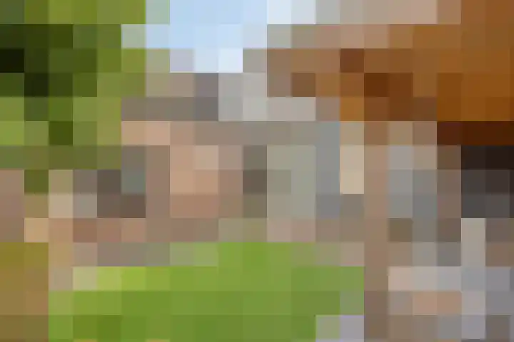 Boschweg 84 Schijndel thumbnail 33