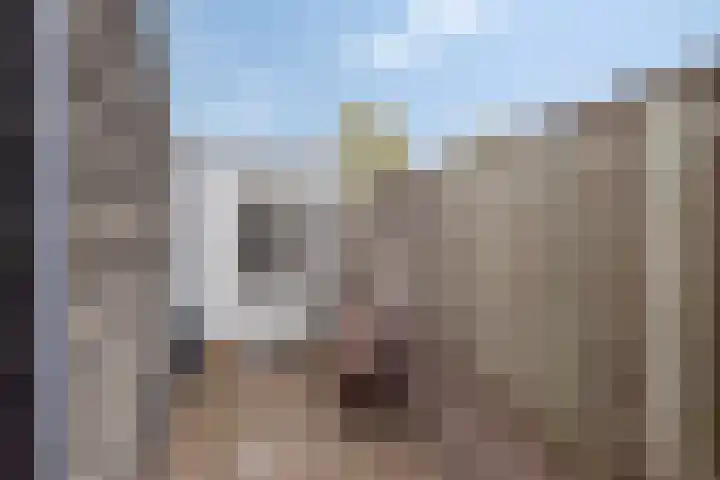 Boschweg 84 Schijndel thumbnail 34
