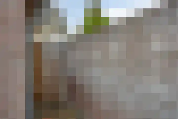 Boschweg 84 Schijndel thumbnail 35