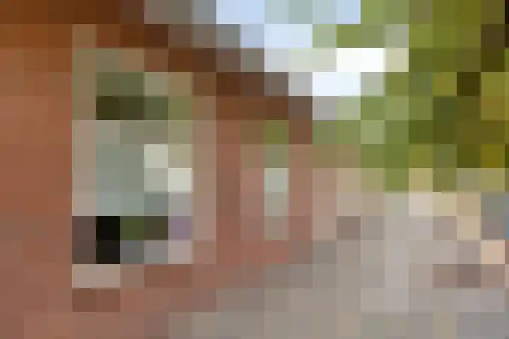 Boschweg 84 Schijndel thumbnail 36