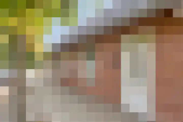 Boschweg 84 Schijndel thumbnail 38