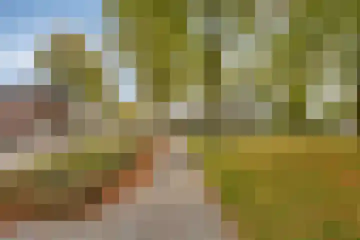 Boschweg 84 Schijndel thumbnail 39