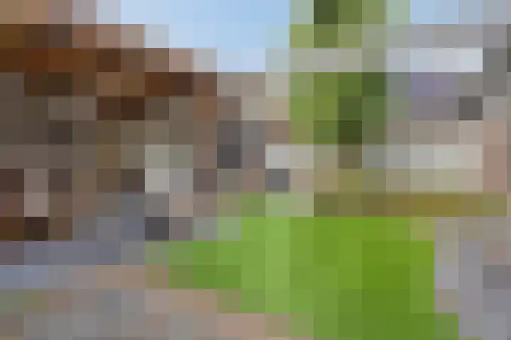 Boschweg 84 Schijndel thumbnail 4