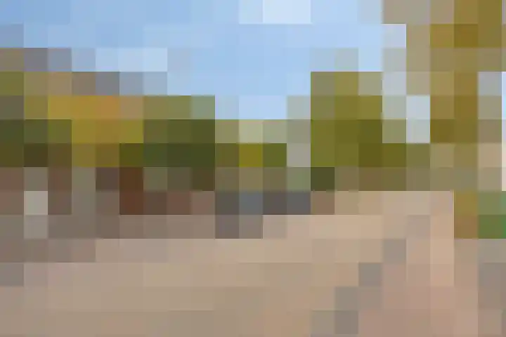 Boschweg 84 Schijndel thumbnail 5
