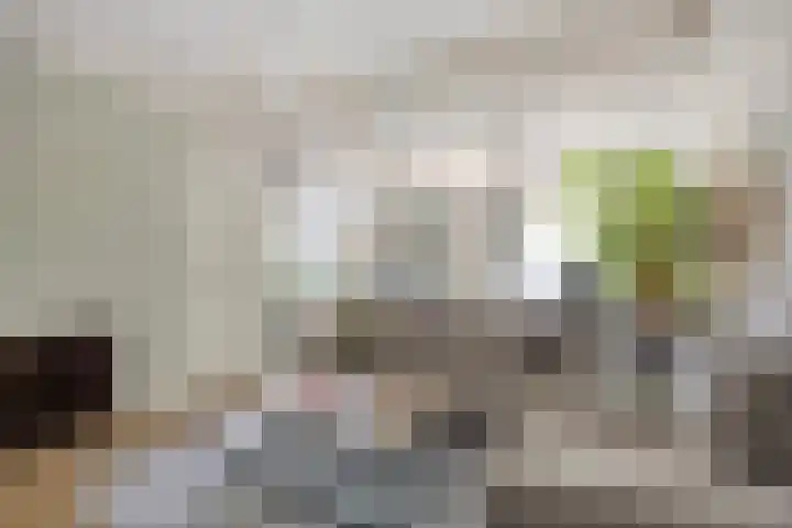 Boschweg 86 Schijndel thumbnail 10