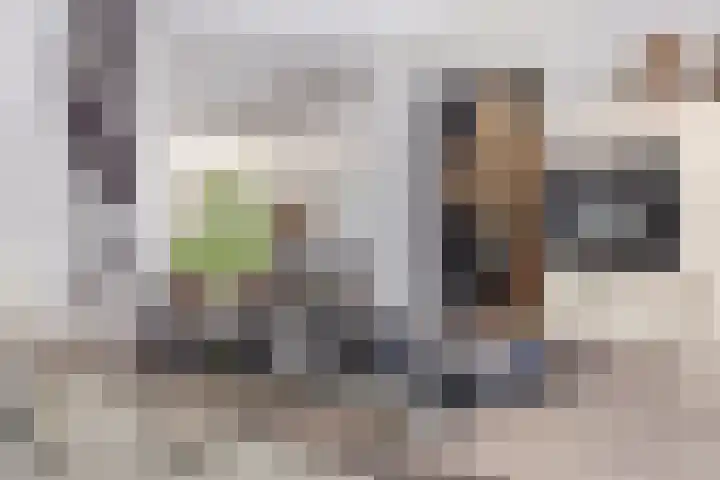 Boschweg 86 Schijndel thumbnail 19