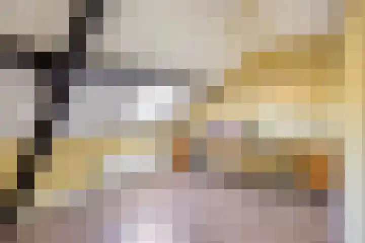 Boschweg 86 Schijndel thumbnail 32