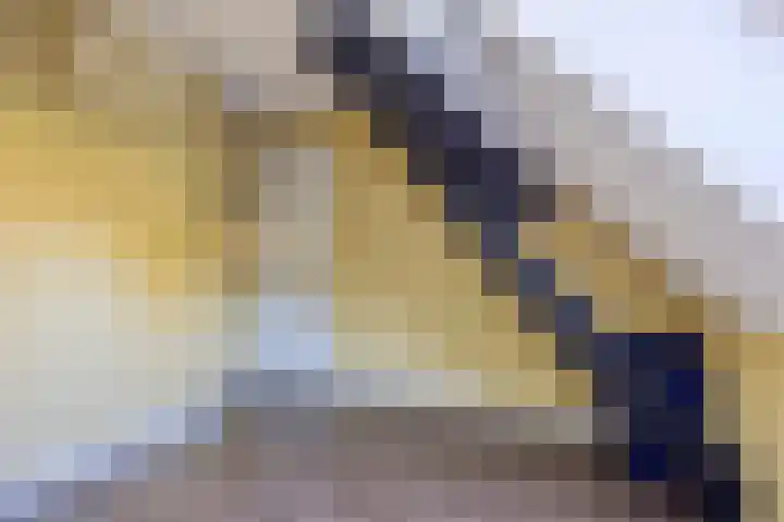 Boschweg 86 Schijndel thumbnail 33