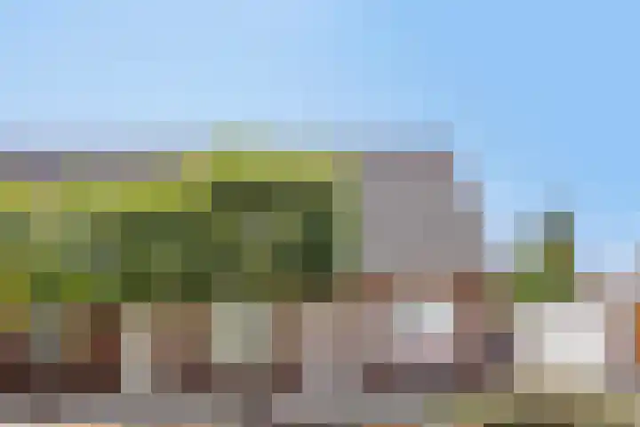 Boschweg 86 Schijndel thumbnail 39