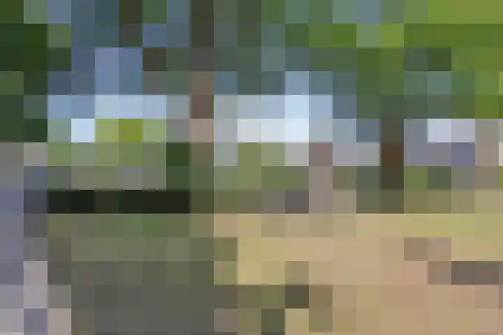 Boschweg 86 Schijndel thumbnail 41