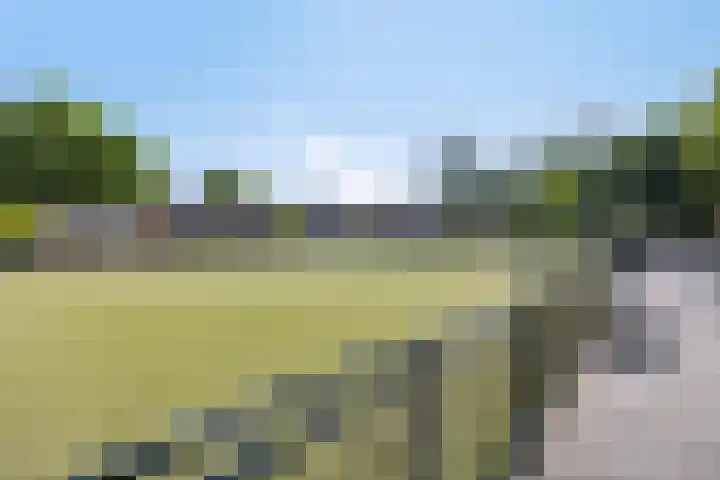 Boschweg 86 Schijndel thumbnail 42