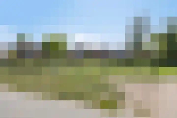 Boschweg 86 Schijndel thumbnail 43