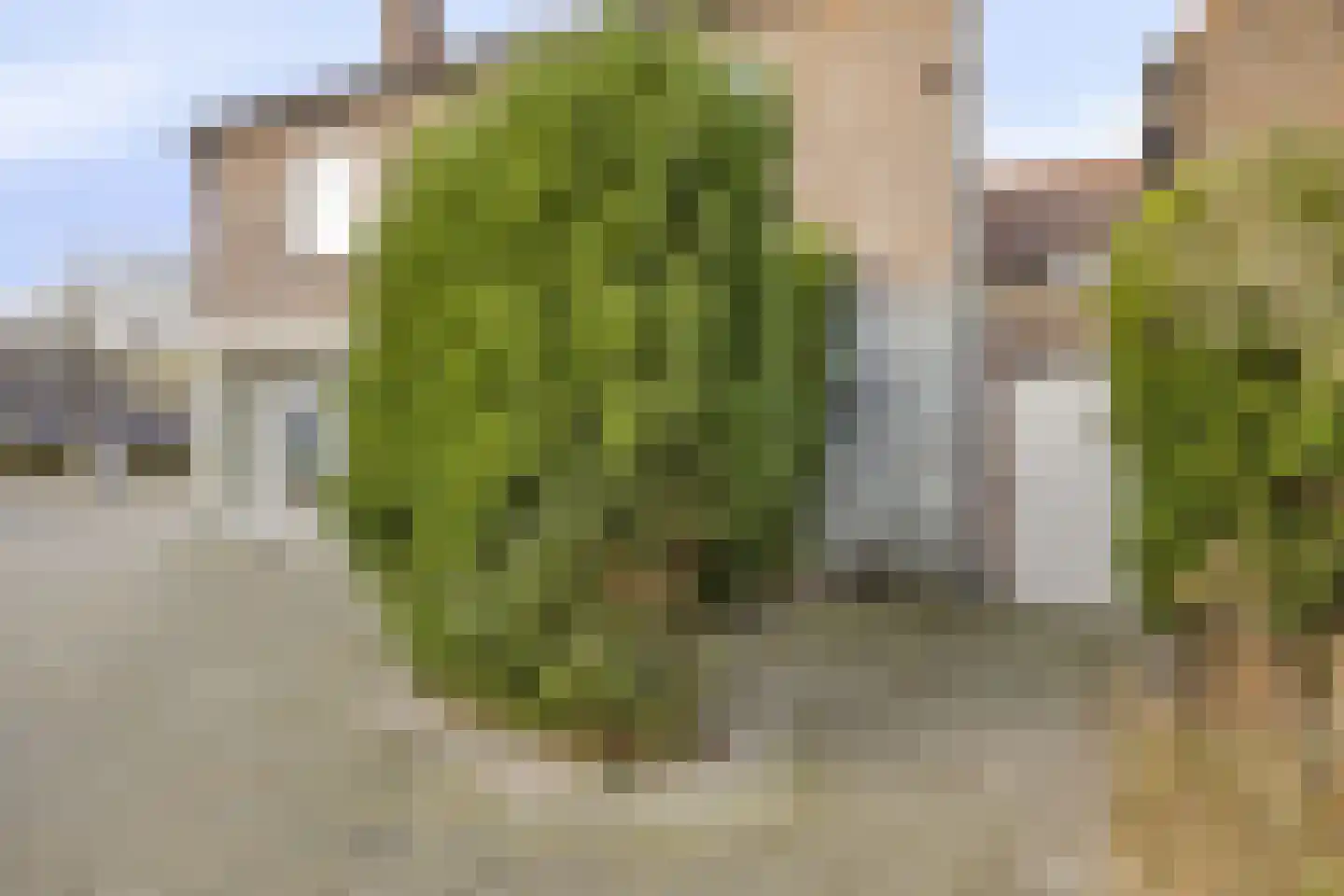 Boschweg 95 Schijndel thumbnail 11