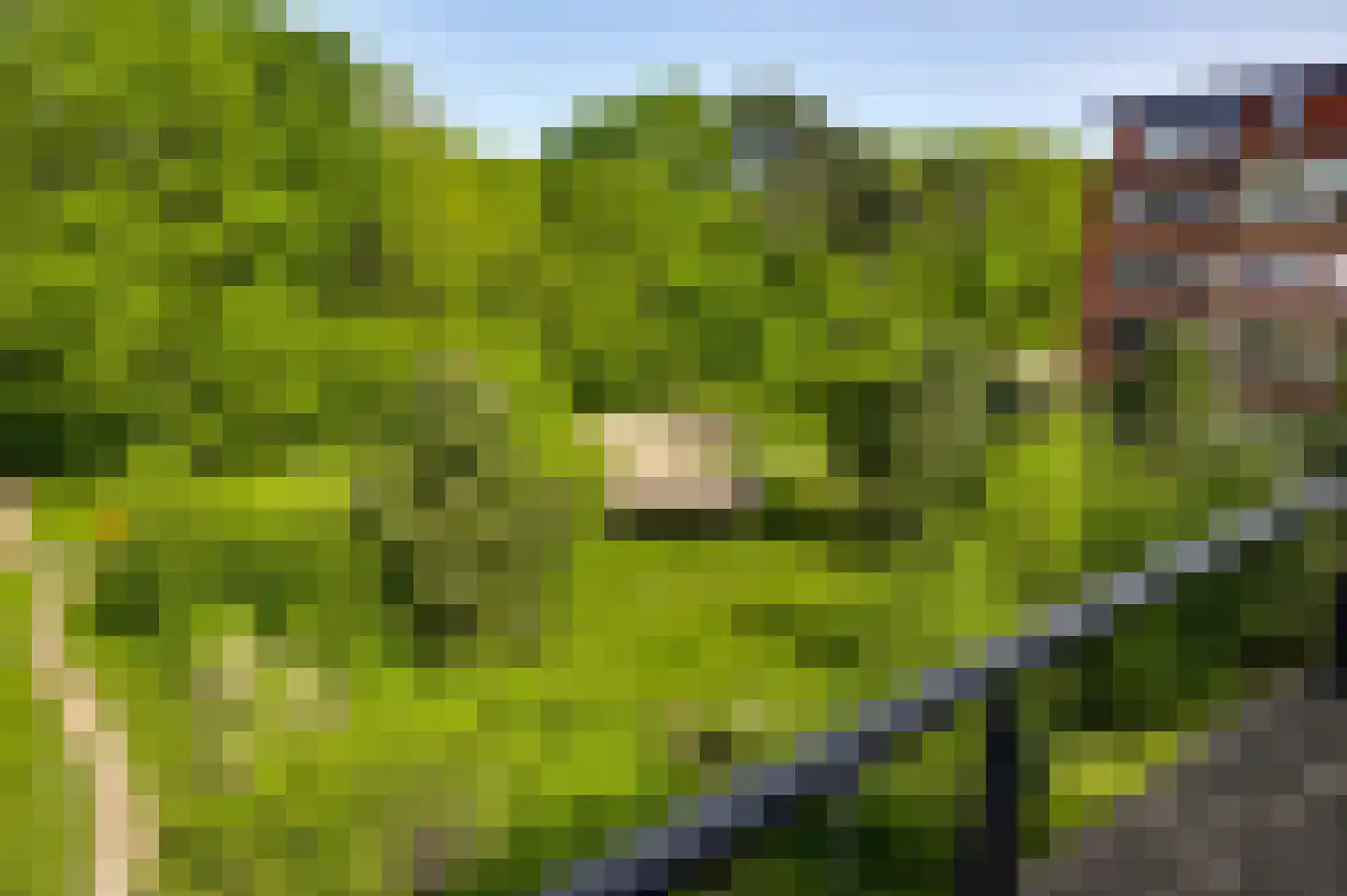 Bösdaellaan 61 Reuver thumbnail 23