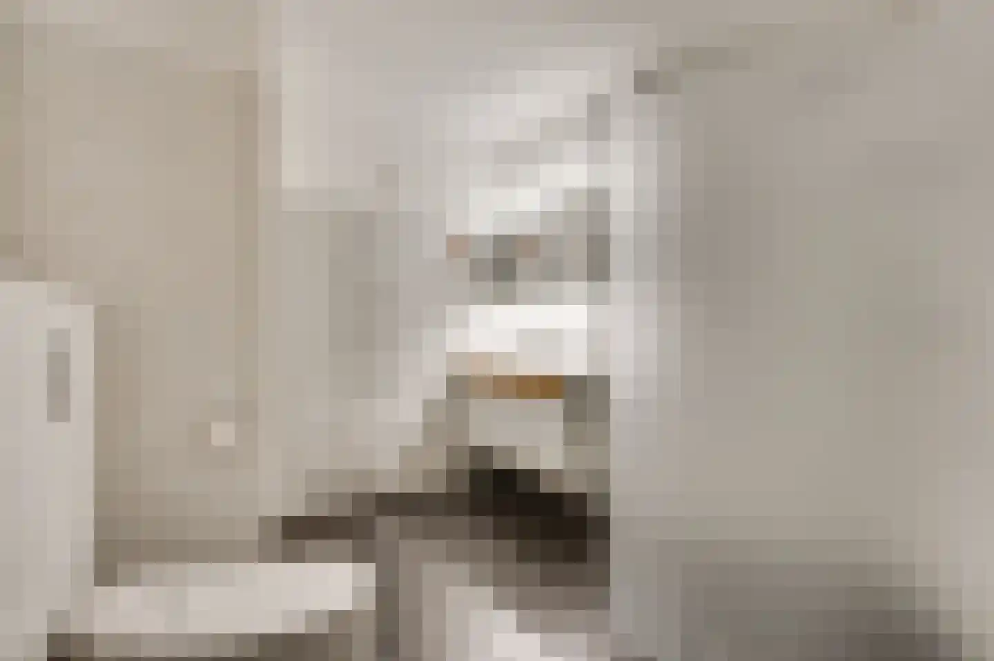 Bösdaellaan 61 Reuver thumbnail 30
