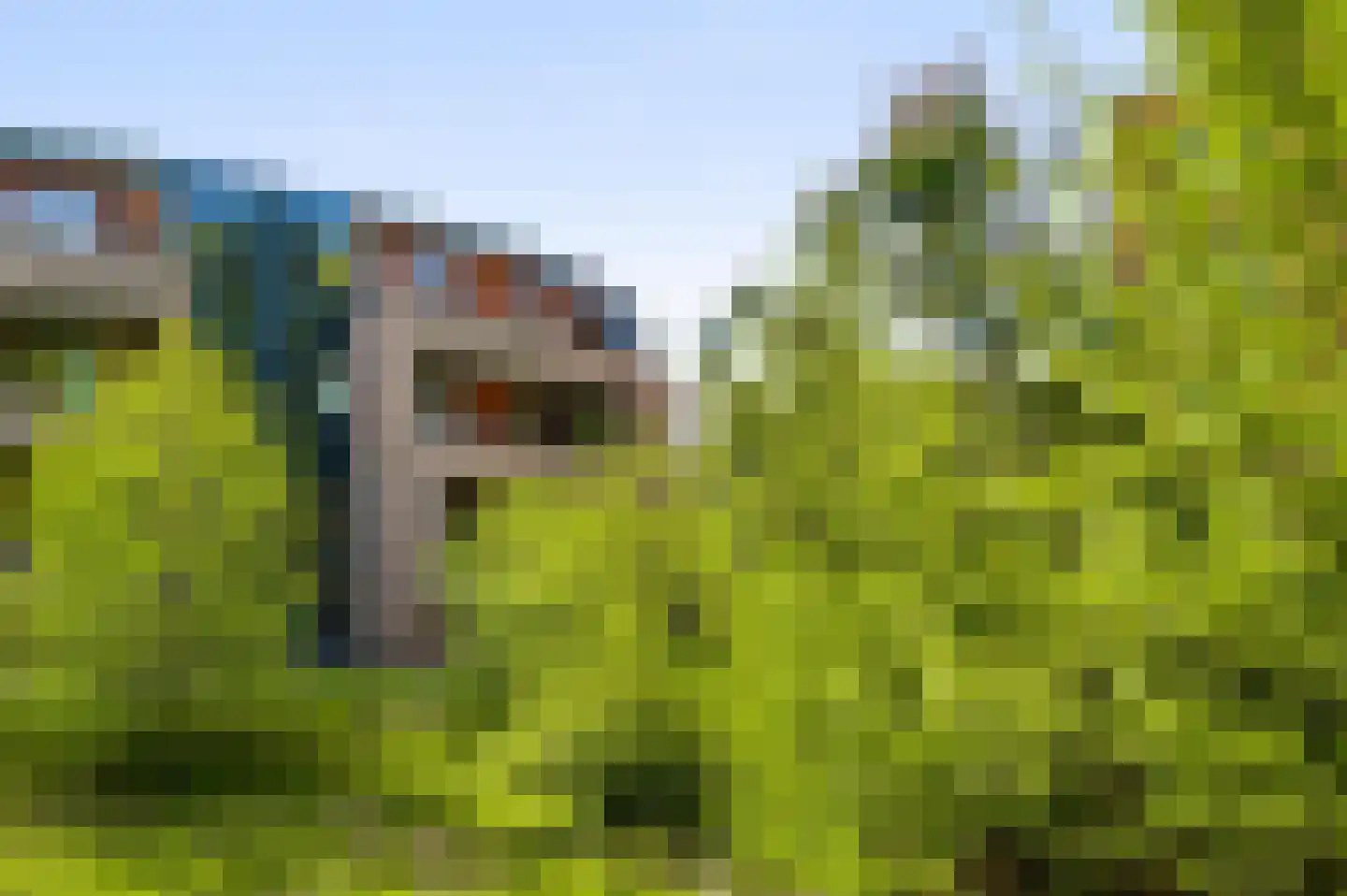 Bösdaellaan 61 Reuver thumbnail 39