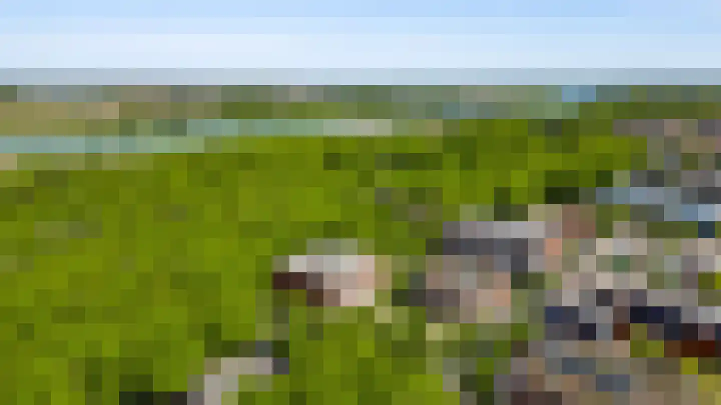 Bösdaellaan 61 Reuver thumbnail 45