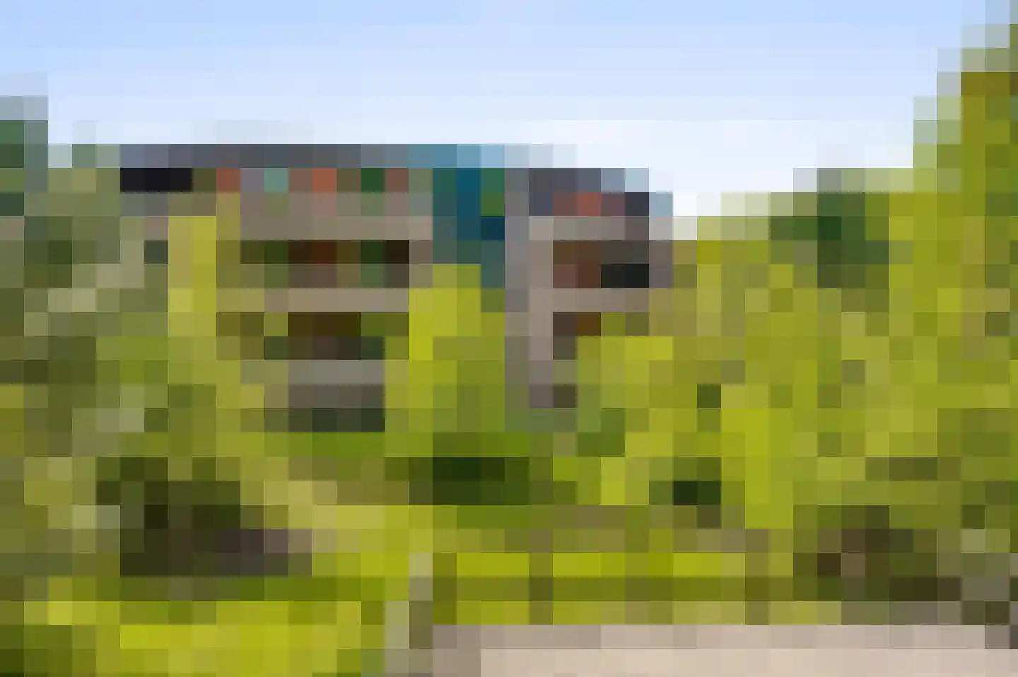 Bösdaellaan 61 Reuver thumbnail 6