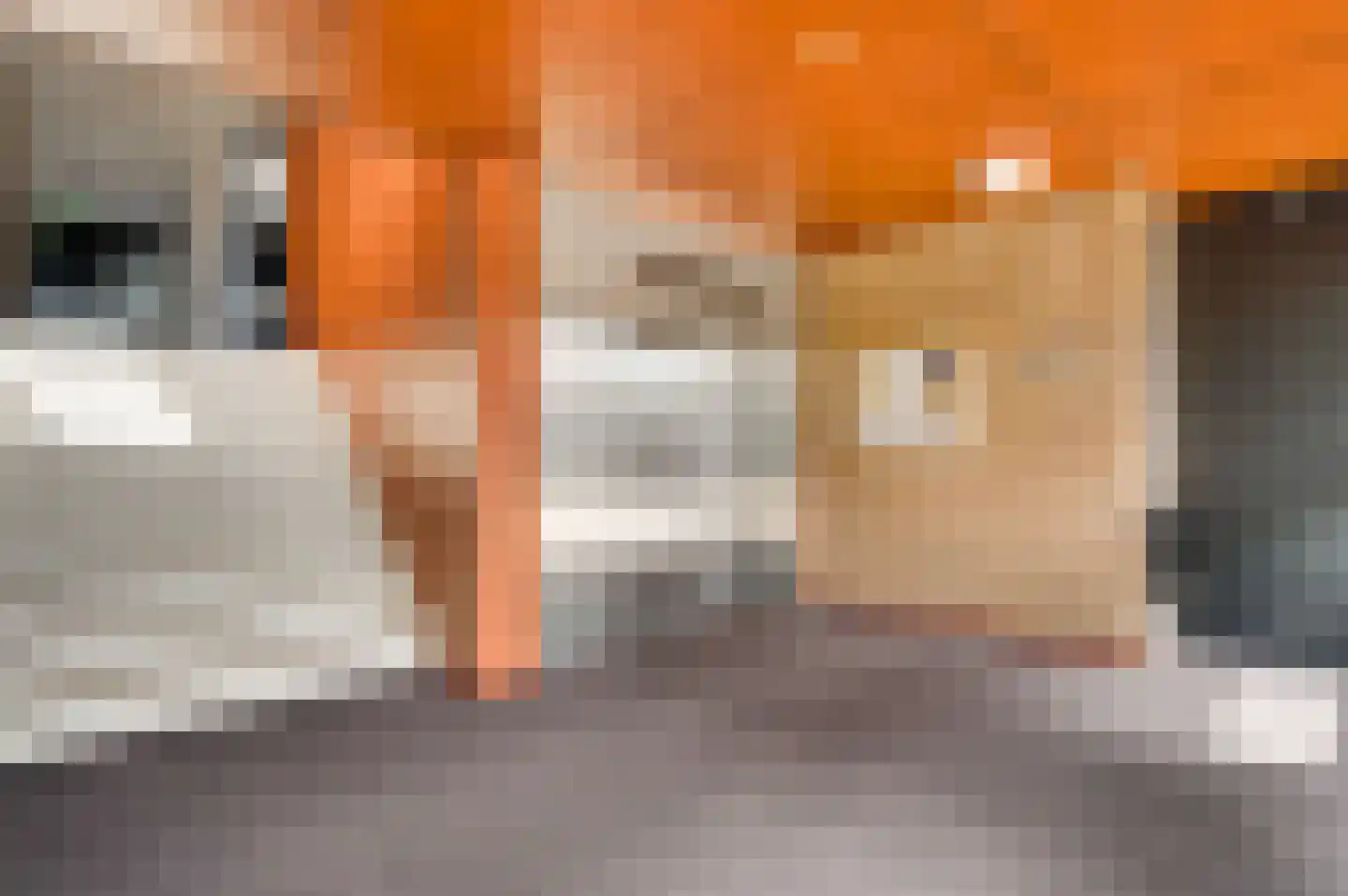 Bösdaellaan 61 Reuver thumbnail 7
