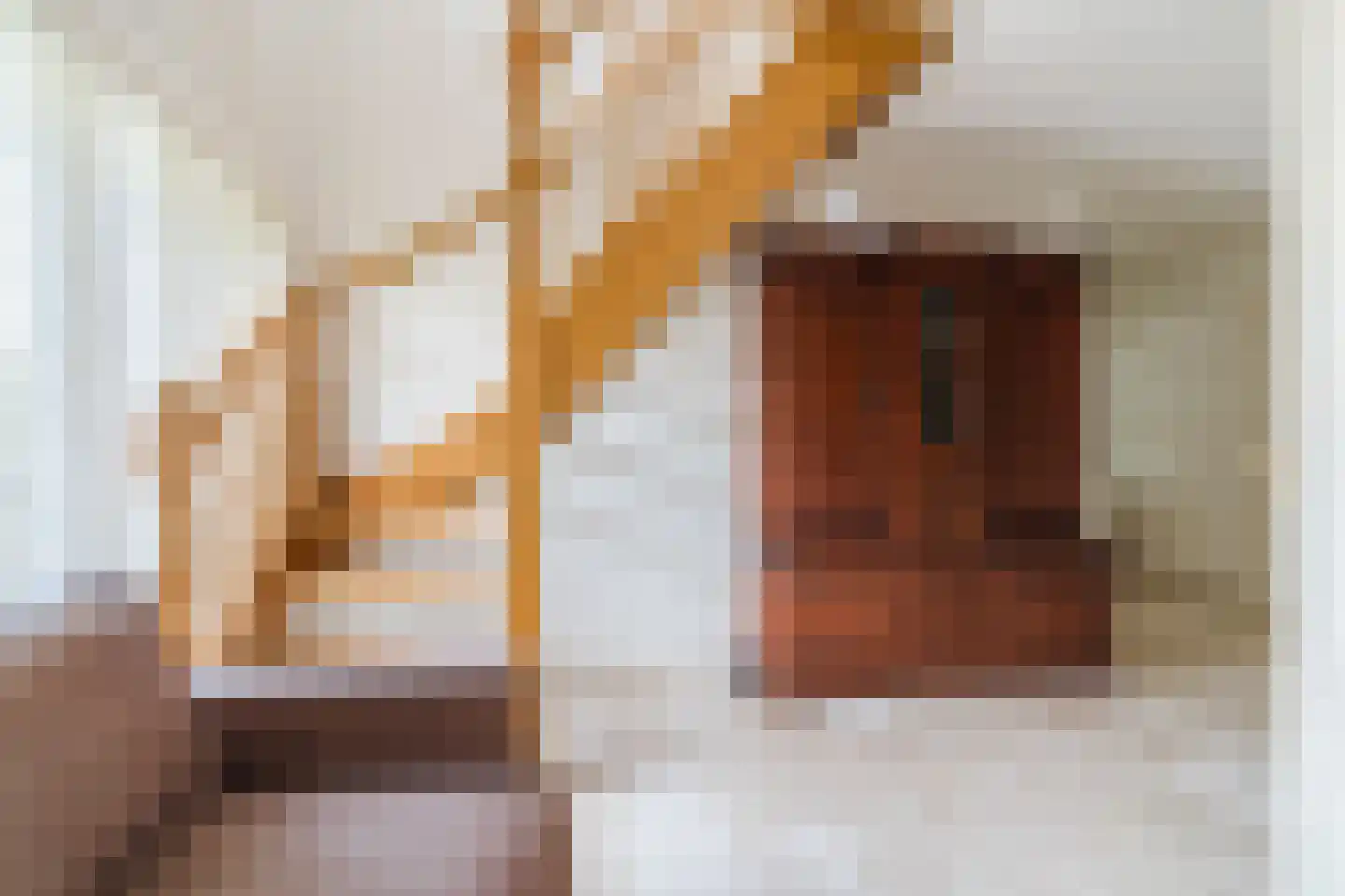 Bosdammen 2 Ammerzoden thumbnail 10