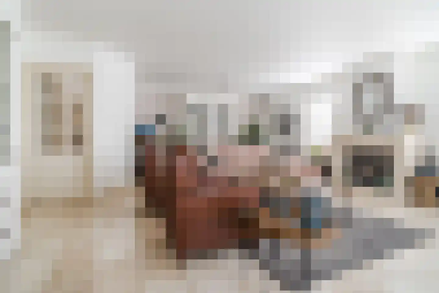 Bosdammen 2 Ammerzoden thumbnail 15