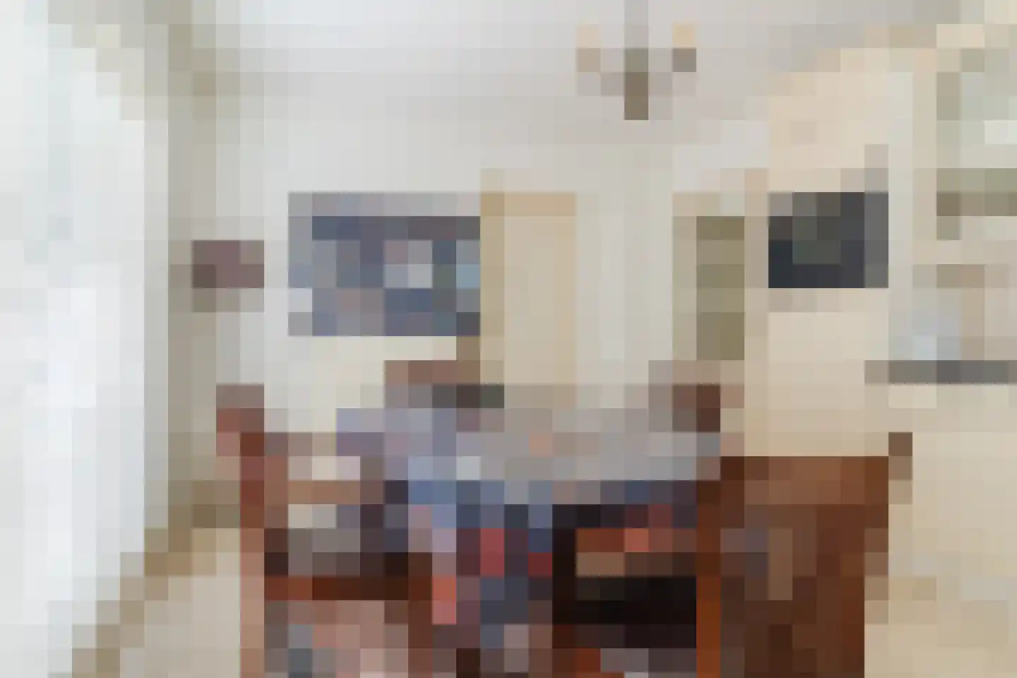 Bosdammen 2 Ammerzoden thumbnail 21